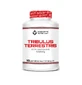 Scientiffic Nutrition Tribulus Terrestris, 100 tabletten