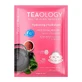Teaology Masque Hyaluronique au Thé Pêche, 21 ml