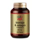 Obire Borretsch & Nachtkerze 500 Mg. 220 Perlen