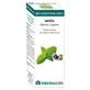 Equisalud Bio Essential Oils Peppermint Essential Oil 10Ml