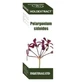 Equisalud Holoextract Pelargonium Sidoides 50ml