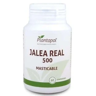 Plantapol koninginnebrij 565Mg. 60 kauwtabletten