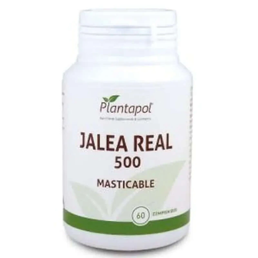 Plantapol koninginnebrij 565Mg. 60 kauwtabletten