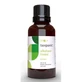 Terpenic Albahaca Linalol Aceite Esencial 30Ml