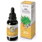 Hiranyagarba Elixir Methika 30Ml