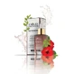Gold Collagen Sérum Night Renewal, 30 ml
