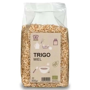 Naturcid Miele di Grano 300 Gr. Eco**