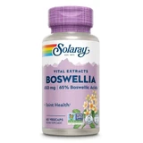 Solaray Boswellia 300 Mg, 60 Capsules