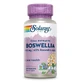 Solaray Boswellia 300 Mg, 60 Capsules