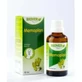 Biover Memoplan Phitoplexe 50Ml