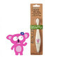 Spazzolino ecologico per neonati e bambini Koala, Jack N Jill