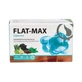 Hcf Flat-Max Plantaardige Koolstof 60 Capsules