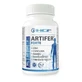 Hcf Artifer Forte 60 Capsules