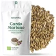 Replant Milk Thistle Seeds Organic, 200 g