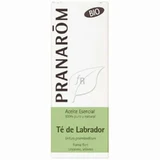 Pranarom Aceite Esencial Té de Labrador Bio, 5ml