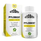 Vit.O.Best Pylobest , 60 gélules de 100 mg