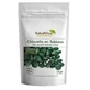 Salud Viva Chlorella 260 Eco Tabletten