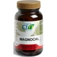 Cfn Magnocal 60 Kapseln
