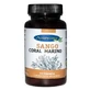 Ayursana Sango Coral Marine Calcium 680Mg 60Cap