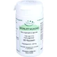 CAPSULES DE MUSHROOM VERT 60 Capsules