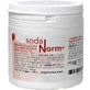 SODANORM enterische tabletten 100 st.