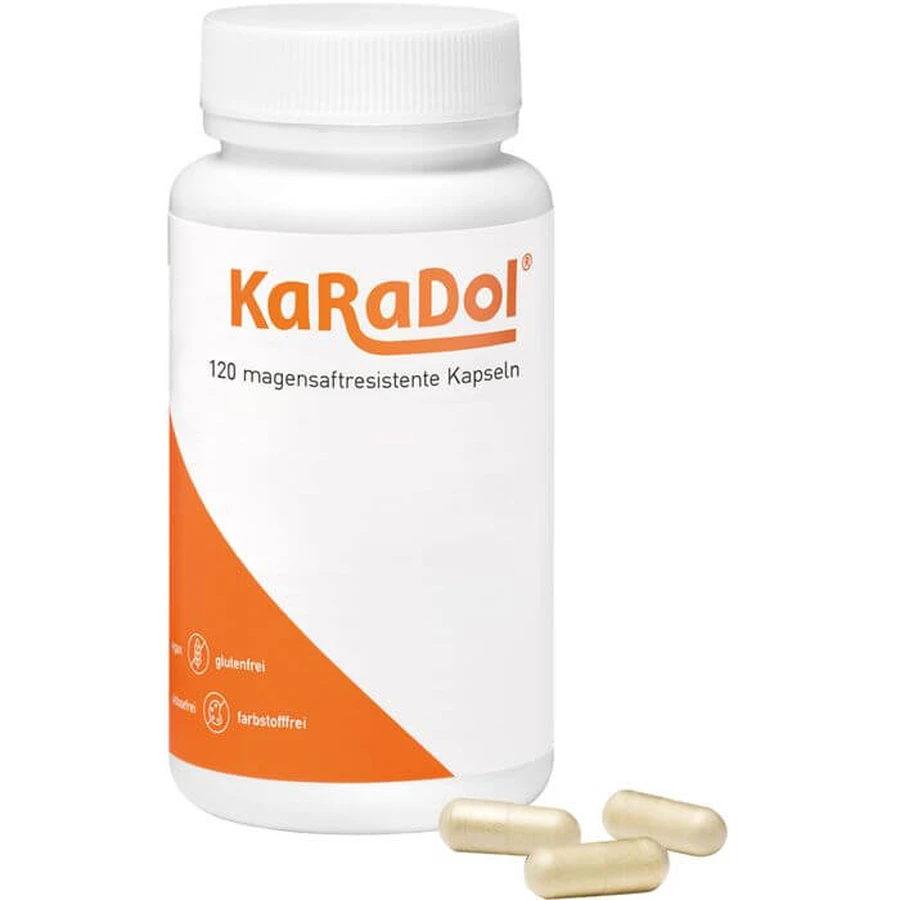 KARADOL magensaftresistente Kapseln 120 St.