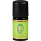 PIJNEN OLIE organisch etherisch 5 ml