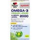 DOPPELHERZ Omega-3 vegan Liquid 2000 system 100 ml