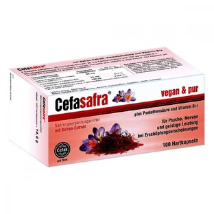 CEFASAFRA filmomhulde tabletten 100 st.