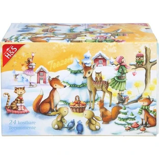 H&S Calendario de Adviento Bolsa Filtro Estrella 24 uds.