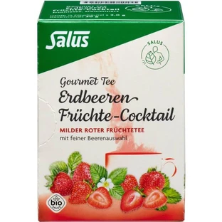 STRAWBERRY Fruitcocktail Salus filterzakjes 15 stuks.
