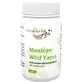 YAMS 500 mg capsules 60 pcs.