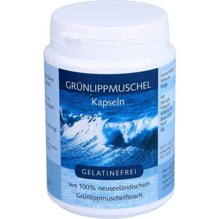 CAPSULES DE MUSHROOM VERT 200 Capsules