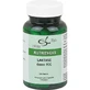 LACTASE 6.000 Capsules FCC 100 Capsules