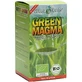 GREEN MAGMA Gerstengrasextrakt Pulver 80 g