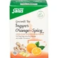 INGWER ORANGE Thé épicé Salus Sachets filtres 15 Capsules