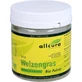 ORGANIC WHEAT GRASS POWDER 150 g