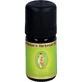 ROSEMARY VERBENON organic essential oil 5 ml
