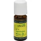 JAPANESE essential mint oil 10 ml
