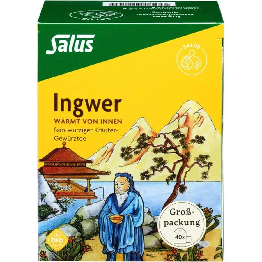 INGWER HERBAL SPICE TEA Blend Organic Salus Fbtl. 40 St.