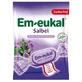 EM-EUKAL Sage suikervrij snoep 75 g