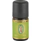 TONKA EXTRAKT aceite esencial bio 5 ml