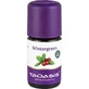 WINTERGROEN Biologische Olie 5 ml