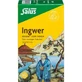 INGWER HERBAL SPICE TEA Salus filterzakjes 15 stuks.