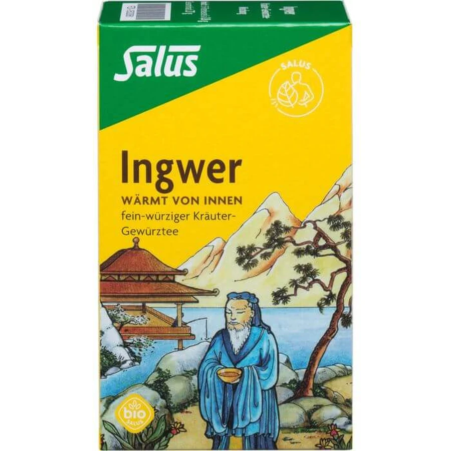INGWER HERBAL SPICE TEA Salus filterzakjes 15 stuks.