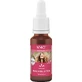 BACHBLÜTEN No. 40 ENERGY Drops 20 ml