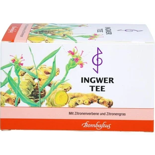 INGWER TEA filterzakje 40 g