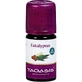 EUKALYPTUS OLIE Organisch 5 ml
