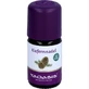 dennennaaldolie organisch 5 ml