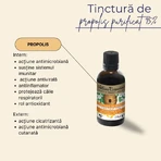 Propolis Tinktur 95%, 15% Polyphenole, 50 ml, Albina Carpatina